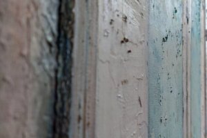 kristel_jacobs_Lizzieslittlegarden_detail2_2024__100x120 kristel_jacobs_Lizzieslittlegarden_detail2_2024__100x120